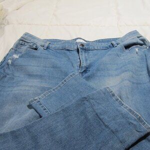 Midrise Boyfriend Lane Bryant 20